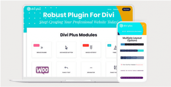 Divi Plus New Modules and Extensions to Divi Theme
