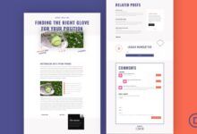 Download a FREE Blog Post Template for Divi’s Softball League Layout Pack