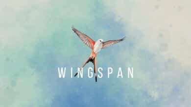 Revisión de "Wingspan" - Magnífico y relajante juego de mesa digital -