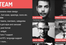 DV Team v2.0 – Responsive Team Showcase WordPress Plugin