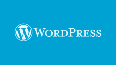 Version de seguridad y mantenimiento de WordPress 581