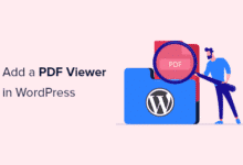 Cómo agregar un visor de PDF en WordPress
