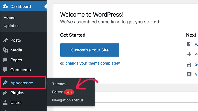 Inicie el editor del sitio en WordPress 5.9