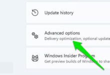 Opciones avanzadas de actualización de Windows