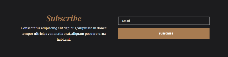 Divi Opciones de correo electrónico Posibilidades de diseño Uno