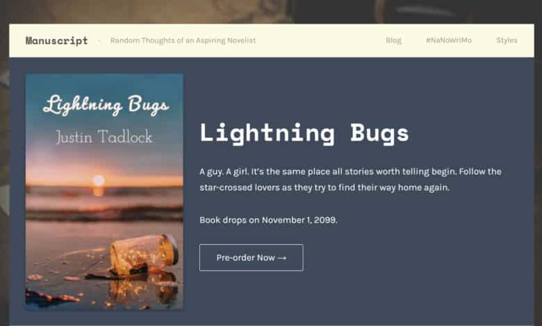 Captura de pantalla de la página de inicio del tema diseñado para novelistas. Tiene un libro y un botón de venta.
