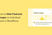 Cómo ocultar imágenes destacadas en publicaciones individuales en WordPress